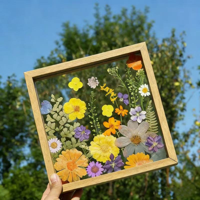 Pressed flower transparent frame